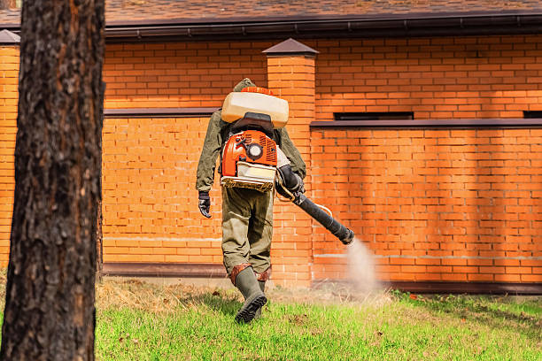Top rated local Wasp Removal specialists in Trexlertown, PA